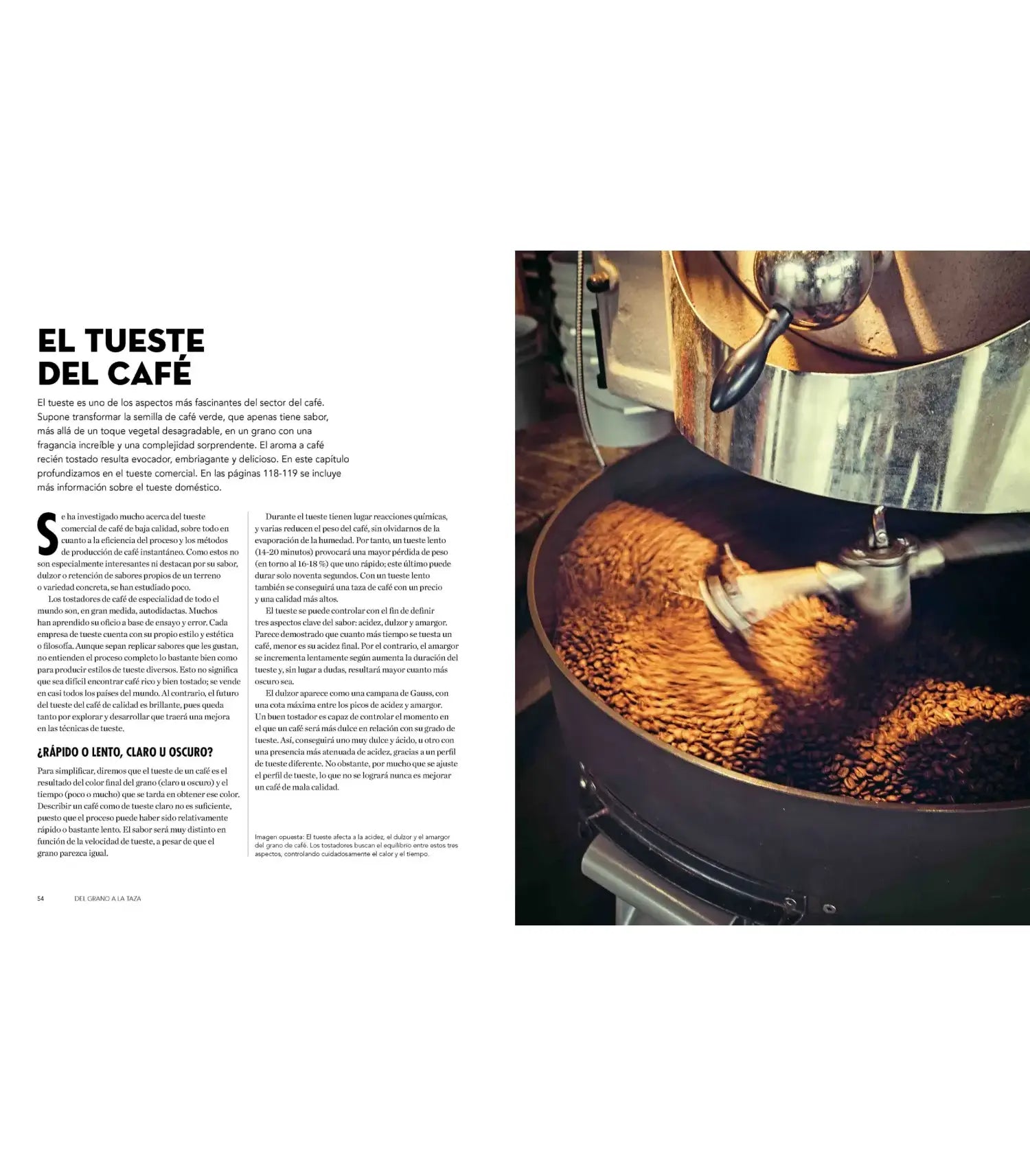 Página con contenido libro Atlas del café