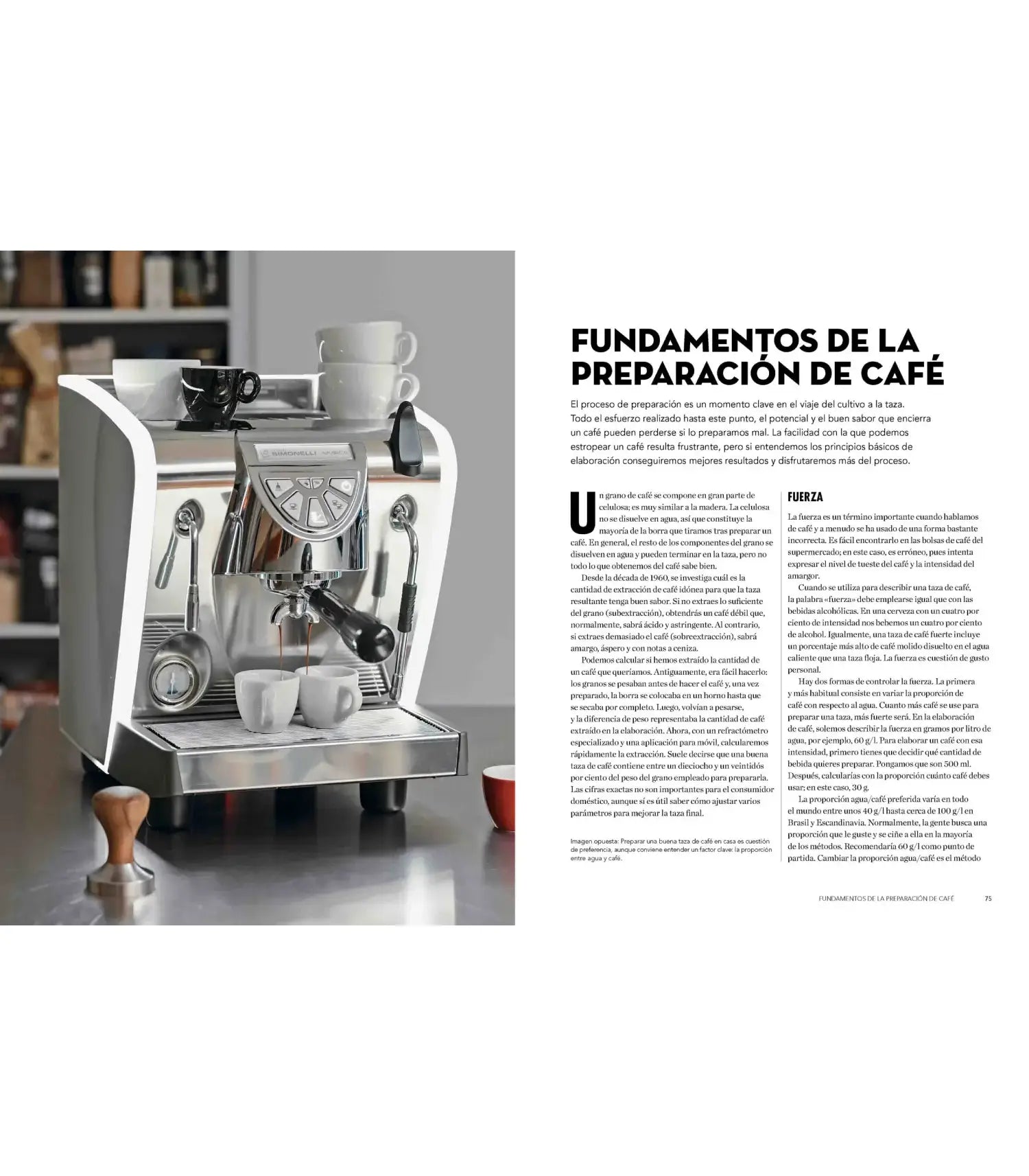 Fundamentos de preparación del café