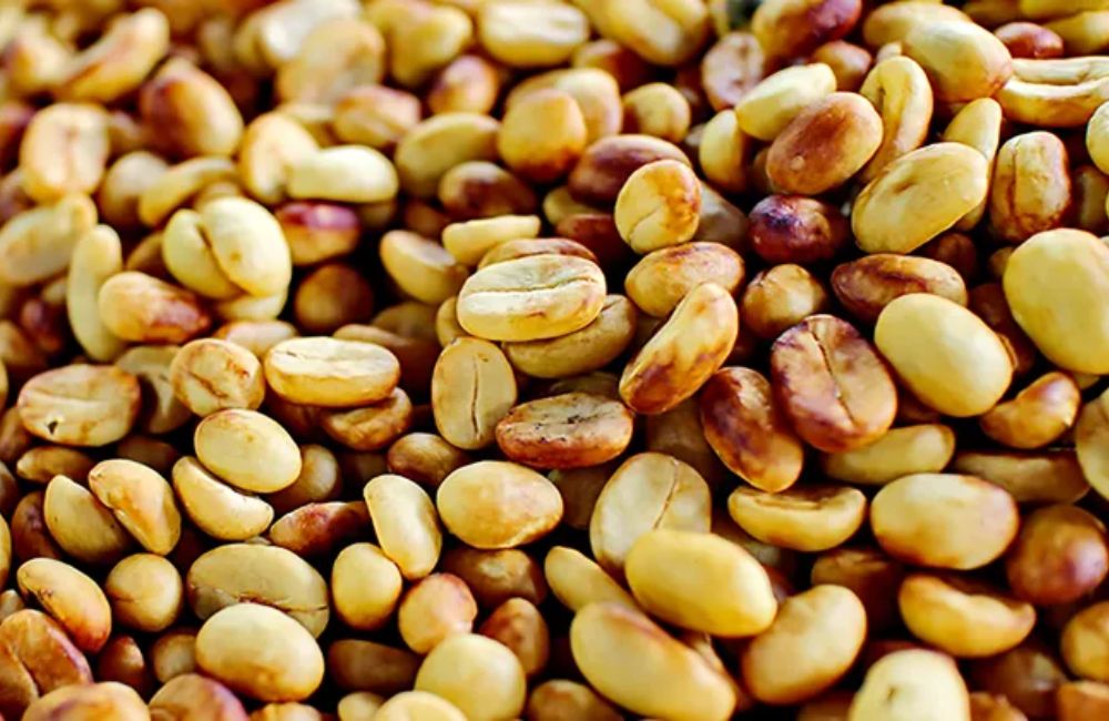 blog-ineffaQué es el café proceso honey yellowble-coffee-proceso-honey 2 Qué es el café proceso honey yellow