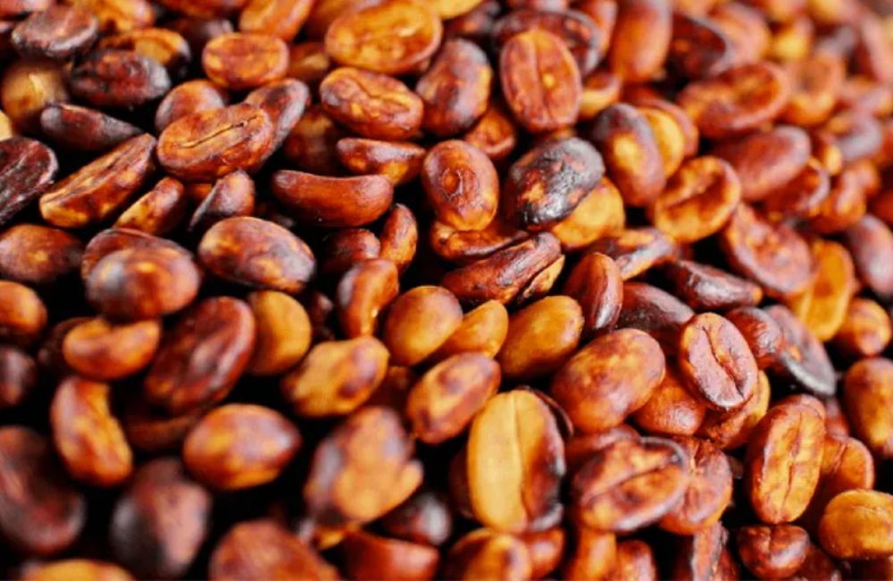 Qué es el café proceso honey red Qué es el café proceso honey red