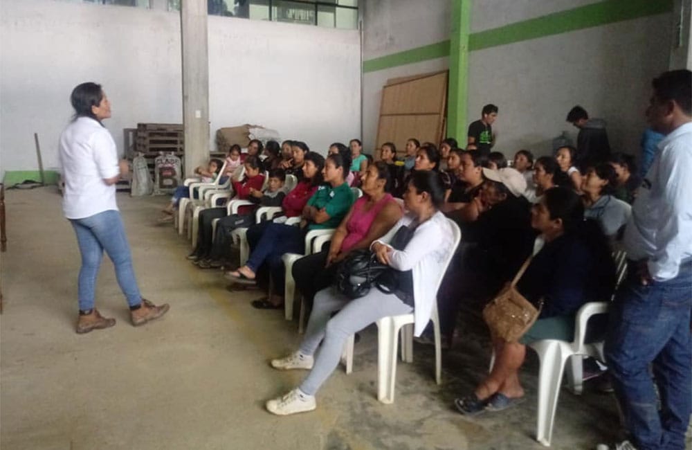 El Palto Mujeres Peru specialty coffee El Palto Mujeres Perú café de especialidad cosecha 2020