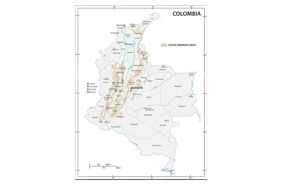 Qué es y cómo hacer un café con leche