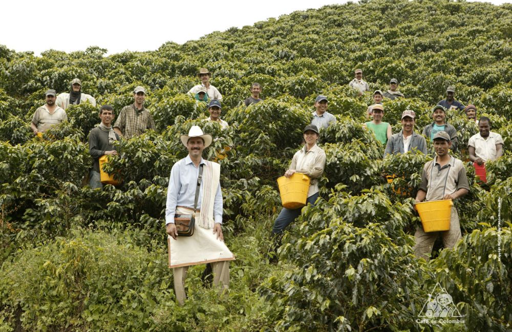 Qué es y cómo hacer un café con leche