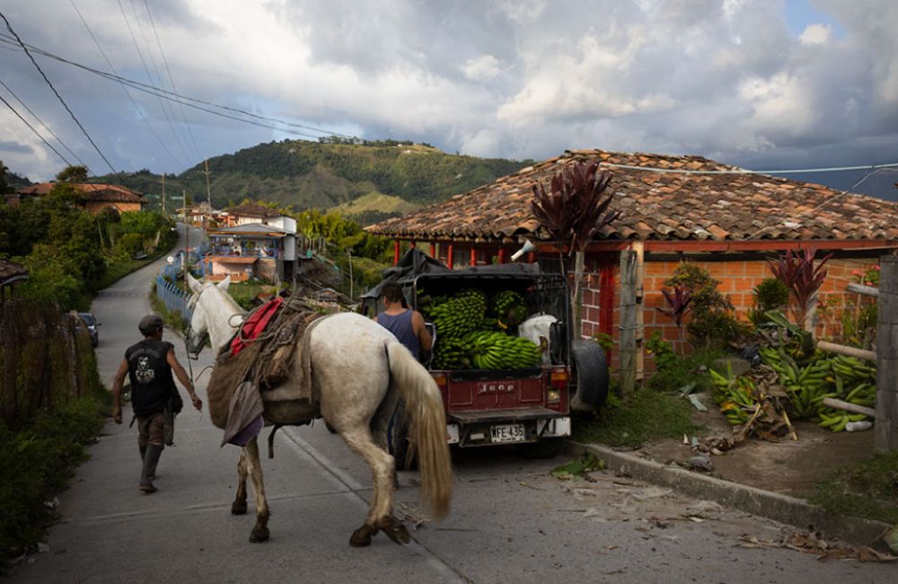 El café colombiano de especialidad está ganando peso en la industria del país.
