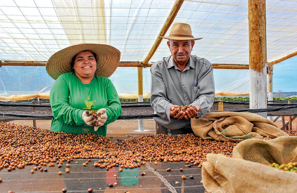Café São Silvestre Carbonic 168h de Brasil un café de competición
