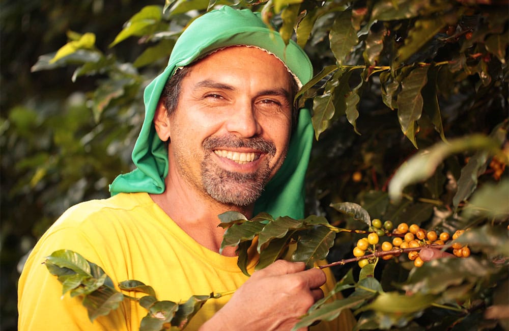 Caficultor de café de especialidad en Sao Sivestre, Brasil
