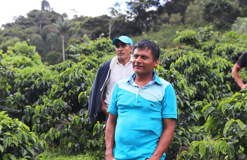 Qué es el café de finca y por qué lo que deberías probar