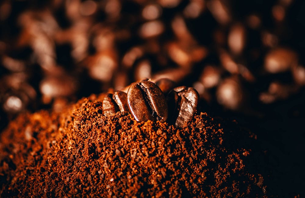 Las ventajas del Café de Finca