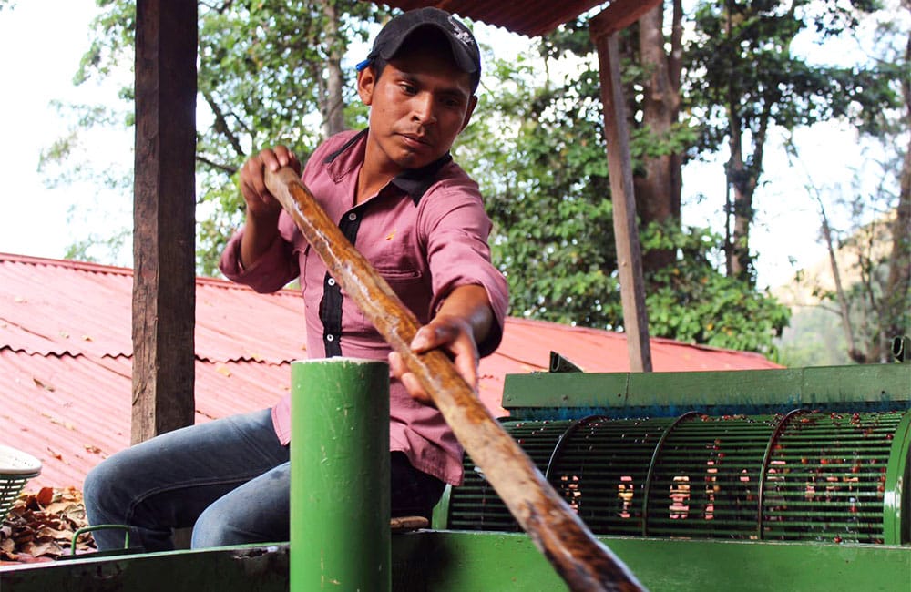 Qué es el café de finca y por qué lo deberías probar