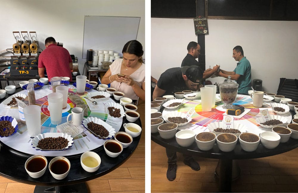 blog-ineffablecoffee-roasters-cafe-geisha-alto-la-estrella-05 Blog Ineffable Coffee - Café Geisha Alto la estrella - Costa Rica