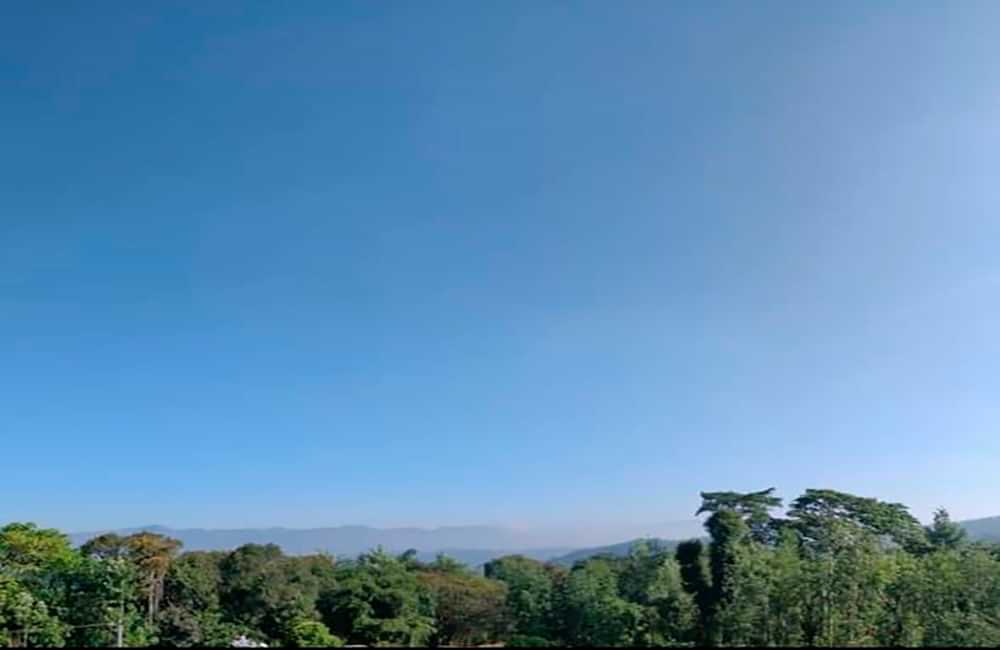 Café de India Meghal State de la montañas Baba Budangiri Café de India Meghal State de la montañas Baba Budangiri