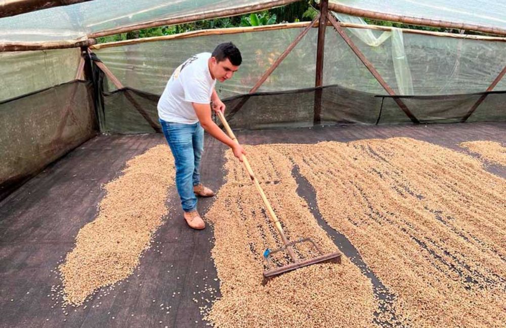 Café de Colombia Nestor Lasso 60h. Imagen de la finca.