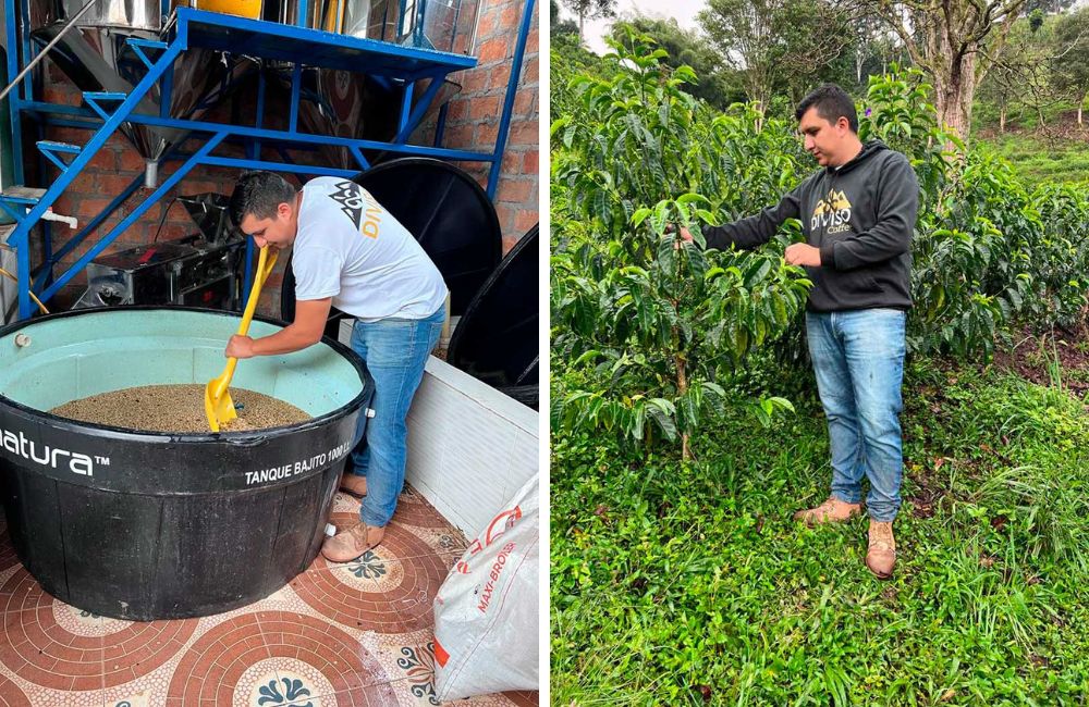 Café de Colombia Nestor Lasso 60h. Imagen de la finca.