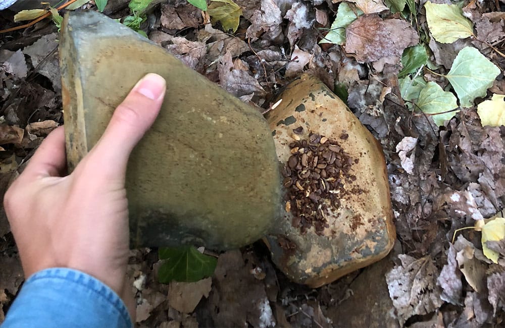 Grinding coffee with two stones because we forgot the grinder Cafeteras de émbolo