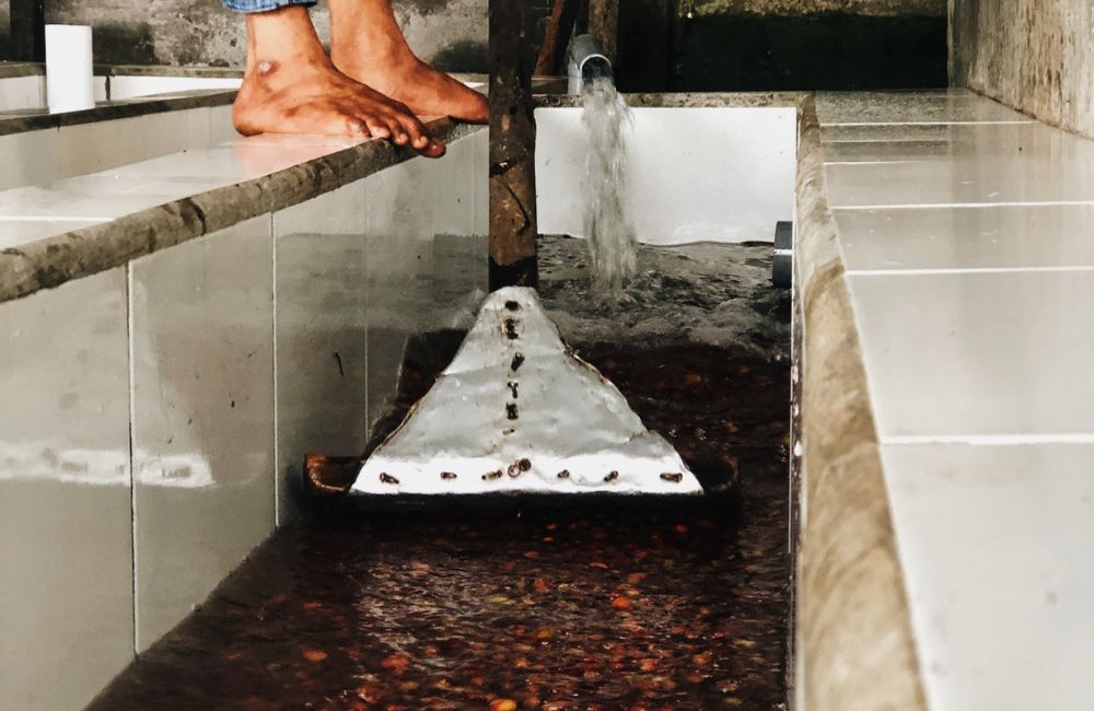 blog-ineffablecoffee-roasters-carbonic-maceration-04 Un café de maceración carbónica proveniente de Indonesia