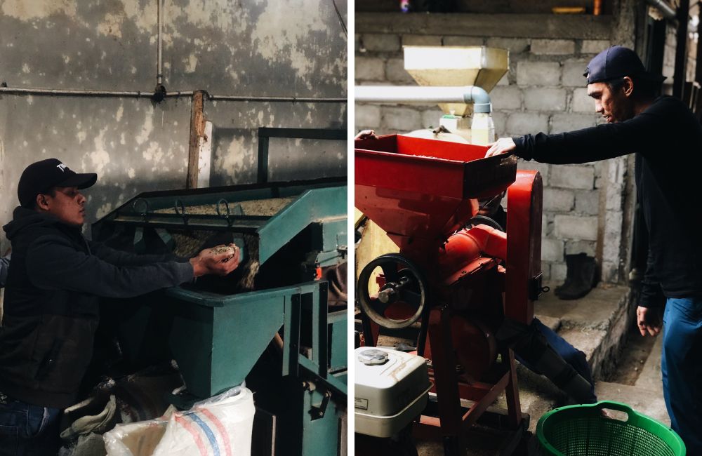 blog-ineffablecoffee-roasters-carbonic-maceration-05 Un café de maceración carbónica proveniente de Indonesia