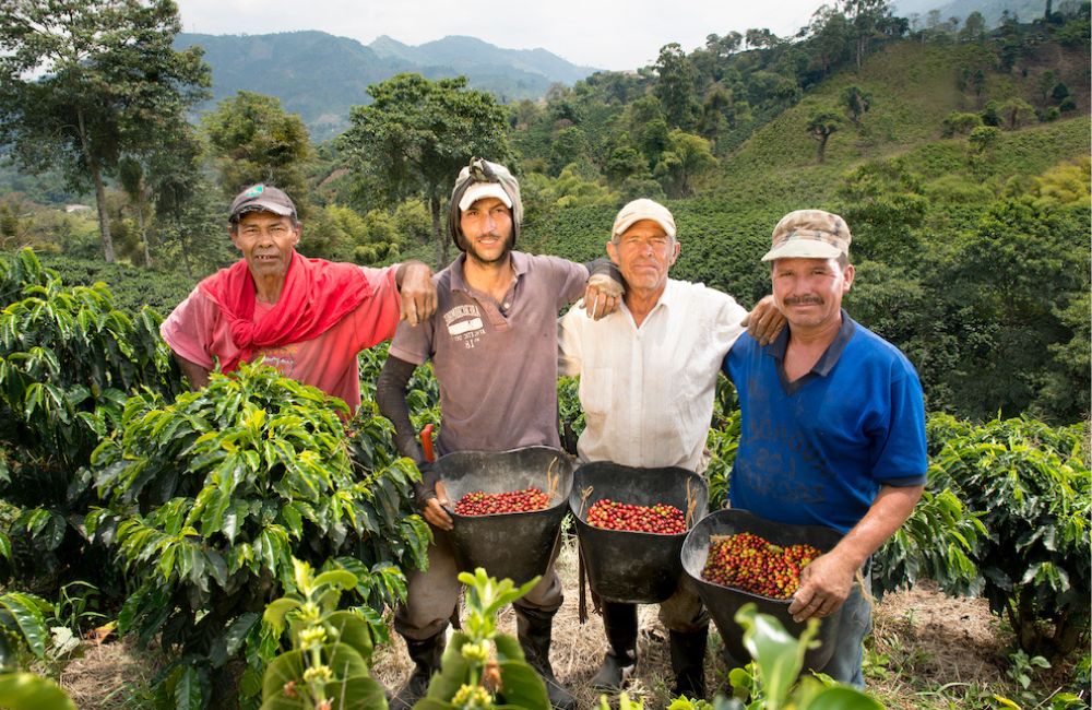 blog-ineffablecoffee-sca 03 Caficultores a los que la SCA ayuda con sus programas