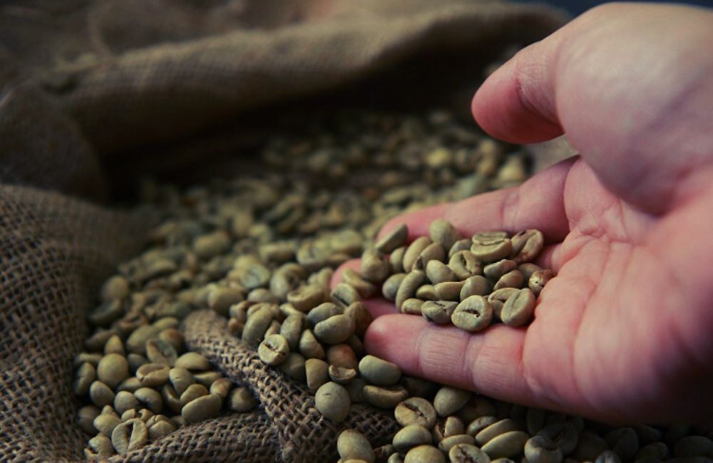 El Café descafeinado Swiss Water, descafeinado con agua u osmosis