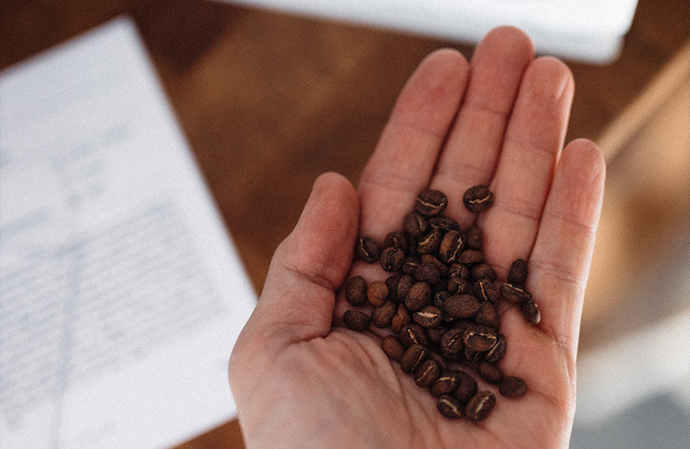 specialty-roasted-coffee-beans Granos de café de especialidad tostados