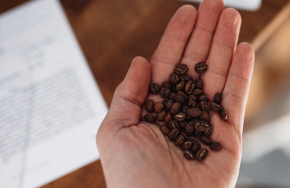 La importancia de escoger un buen café de especialidad para hacer un café espresso