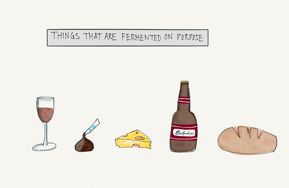 scott-rao-productos-fermentados-a-proposito