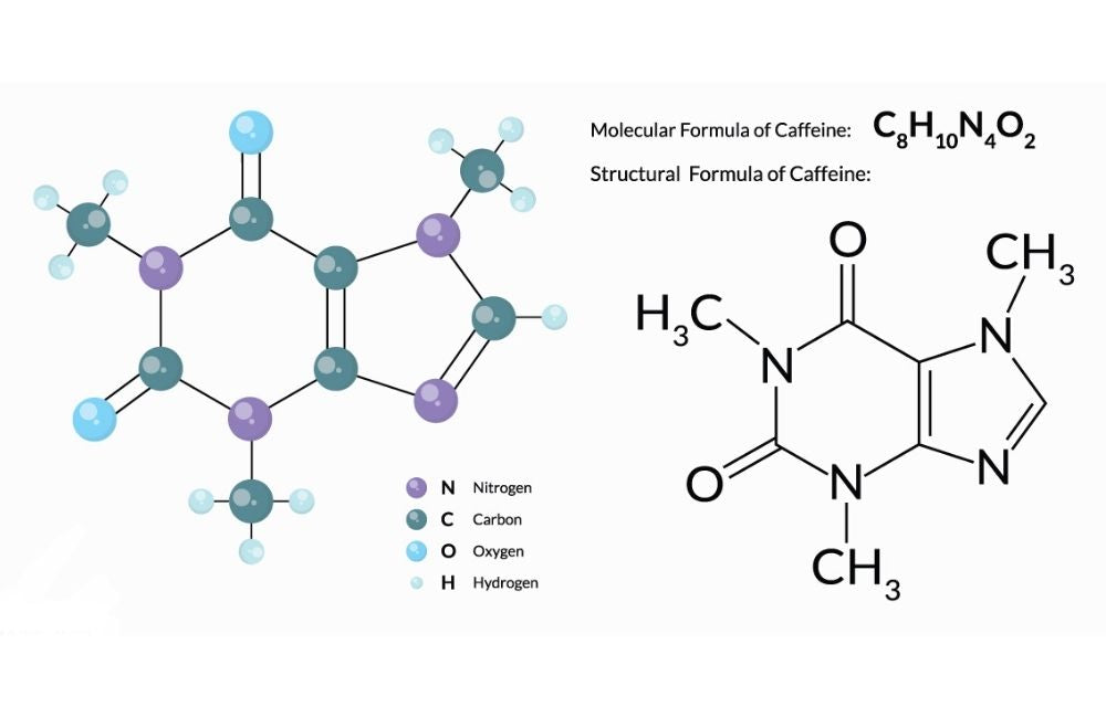 El Café descafeinado Swiss Water, descafeinado con agua u osmosis
